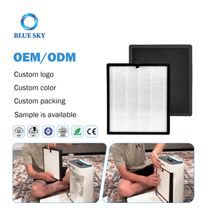 3-in-1 HAP603 活性炭 True HEPA 交換フィルター ECOSELF 空気清浄機用