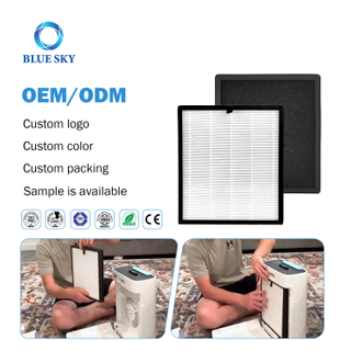 3-in-1 HAP603 活性炭 True HEPA 交換フィルター ECOSELF 空気清浄機用